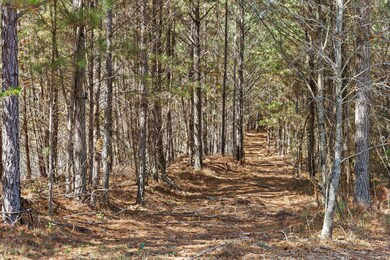 Tract 1 Conniston Rd, Chatsworth, GA 30705 - photo 7