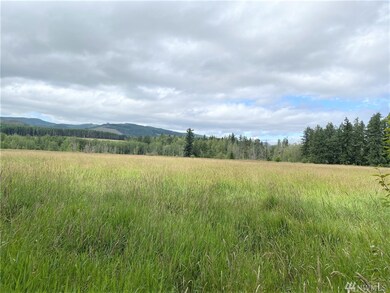 18303 Bald Hill Rd SE, Yelm, WA 98597 - photo 3