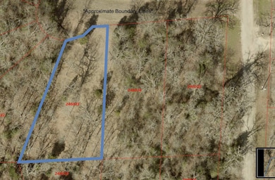 0 Cody Cir unit 21118676, Malakoff, TX 75148 - photo 2