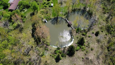 Storms Rd Pond Aerial