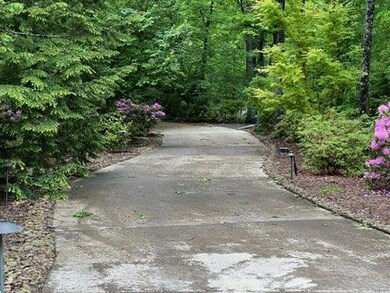 Driveway in Spring