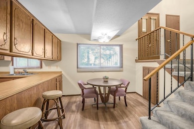 5516 E Bavarian Pass, Minneapolis, MN 55432 - photo 5