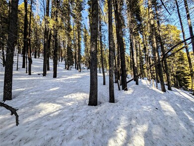 Lot 677 Alice Rd, Idaho Springs, CO 80453 - photo 6