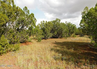 Lot No. 59 Sequoia Pl. Show Low, Az