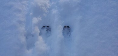 0 Birchcroft Dr, Littleton, NH 03561 - photo 5