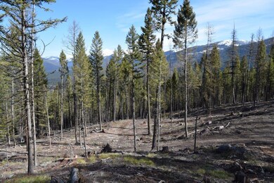 883 Wolverine Dr, Seeley Lake, MT 59868 - photo 6