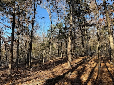 Lot 40 Point Ct, Sundown, MO 65761 - photo 4