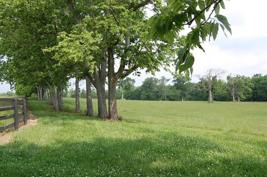 106 Kidds Mill Rd E, Versailles, KY 40383 - photo 6