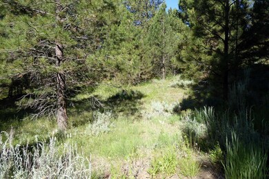 Wooded & Lush