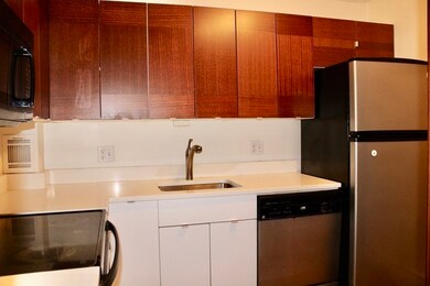 345 Harvard St unit 4A, Cambridge, MA 02138 - photo 3