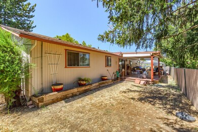 3-Backyard