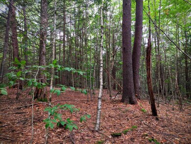 00 Cobble Hill Rd, Spofford, NH 03462 - photo 6