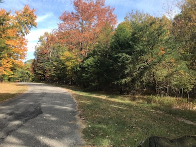 57 Deer Point Dr, Dunlap, TN 37327 - photo 7