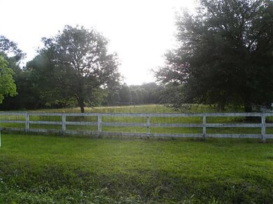 Photo.
