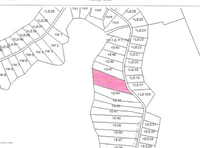 0 E Shore Dr, Lords Valley, PA 18428 - photo 6