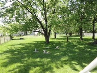 3956 171st Place, Country Club Hills, IL 60478 - photo 3