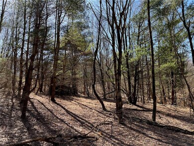 0 Clamtown Rd, New Ringgold, PA - photo 2