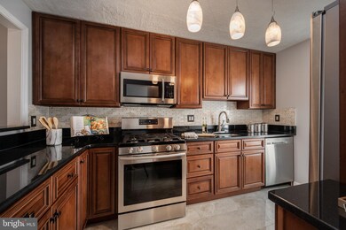 10052 Oakton Terrace Rd unit 10052, Oakton, VA 22124 - photo 5