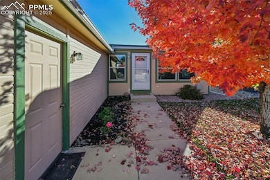 7711 Grizzly Bear Point, Colorado Springs, CO 80922 - photo 6