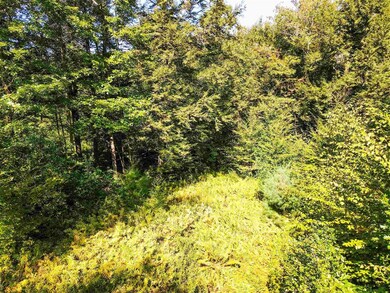 00 Chandlers Mill Rd, Newport, NH 03773 - photo 7