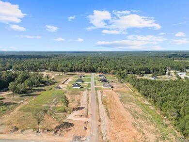 Overview of rural landscape featuring a heavily wooded area