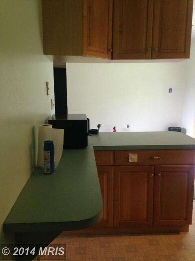 5 Bentley Way, Owings Mills, MD 21117 - photo 3