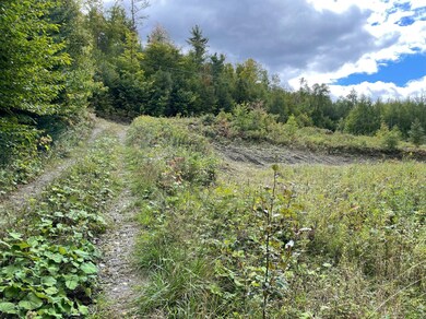 00 Libby Rd, Waterford, VT 05819 - photo 4