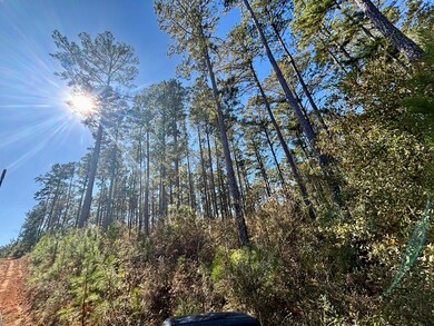 TBD Alabama 131, Bakerhill, AL 36027 - photo 4