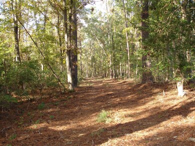 8754 Savannah Hwy. Trey (1)