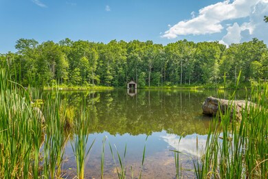 Lower Lake