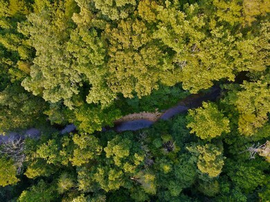 76 AC. Masters Rd, Cookeville, TN 38506 - photo 6