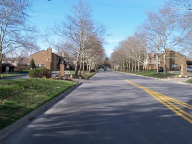 Street