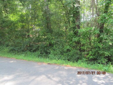 Wooded lot