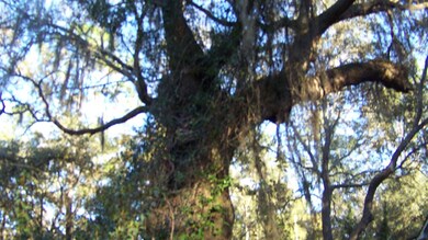 5501 County Road 208, St. Augustine, FL 32092 - photo 4