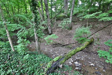 Adena Brook