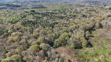 DJI_20240330101920_0062_D
