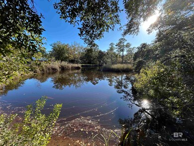 0 Bayou Shores Dr unit 371464, Coden, AL 36523 - photo 6