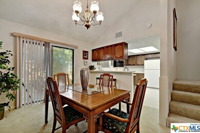 829 Old Ranch Road 12, San Marcos, TX 78666 - photo 7