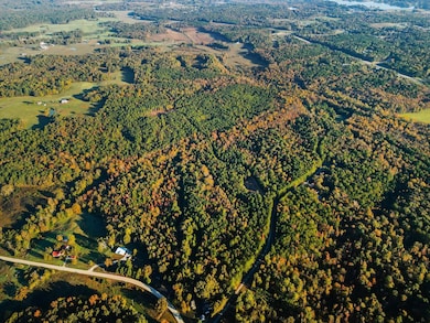 0 Burnine Rd, Lexington, TN 38351 - photo 3