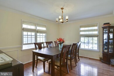 6014 Morgan Ct, Alexandria, VA 22312 - photo 7