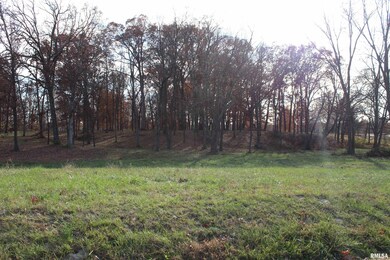 000 Birdie Dr, Mount Vernon, IL 62864 - photo 4