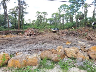 2004 Canton Ave, Alva, FL 33920 - photo 7