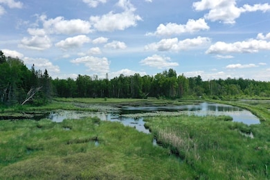 0 Tbd Pequaywan Lake Rd unit LotWP001, Duluth, MN 55803 - photo 7