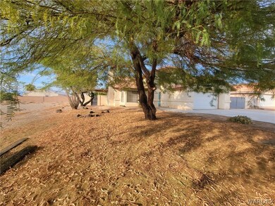 Mature tree in front yard