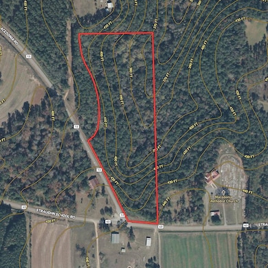 15.6+/- Acres Rose Hill Dozier MacEdonia Rd, Andalusia, AL 36421 - photo 2