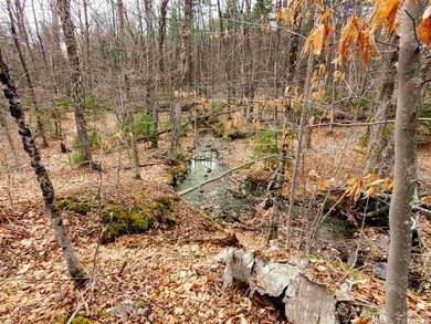 1715 Kittridge Pasture Rd, Reading, VT 05062 - photo 2