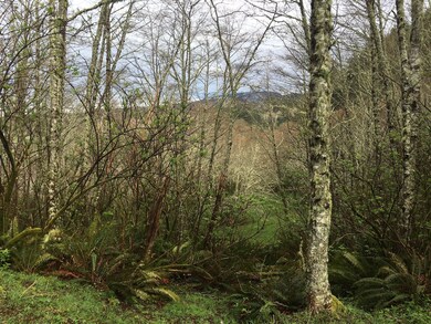 views of Cape Lookout