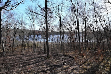 TBD Ottawa Dr, Browerville, MN 56438 - photo 2