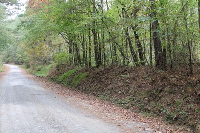 0 Reo Rd unit 1397443, Rocky Face, GA 30740 - photo 2