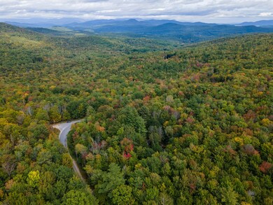 0 Dick Brown Rd unit 4952830, Bridgewater, NH 03222 - photo 6